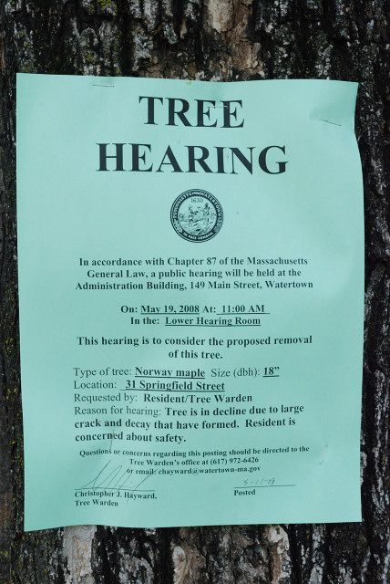 tree hearing sign