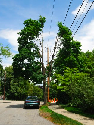 NSTAR utility pruning example