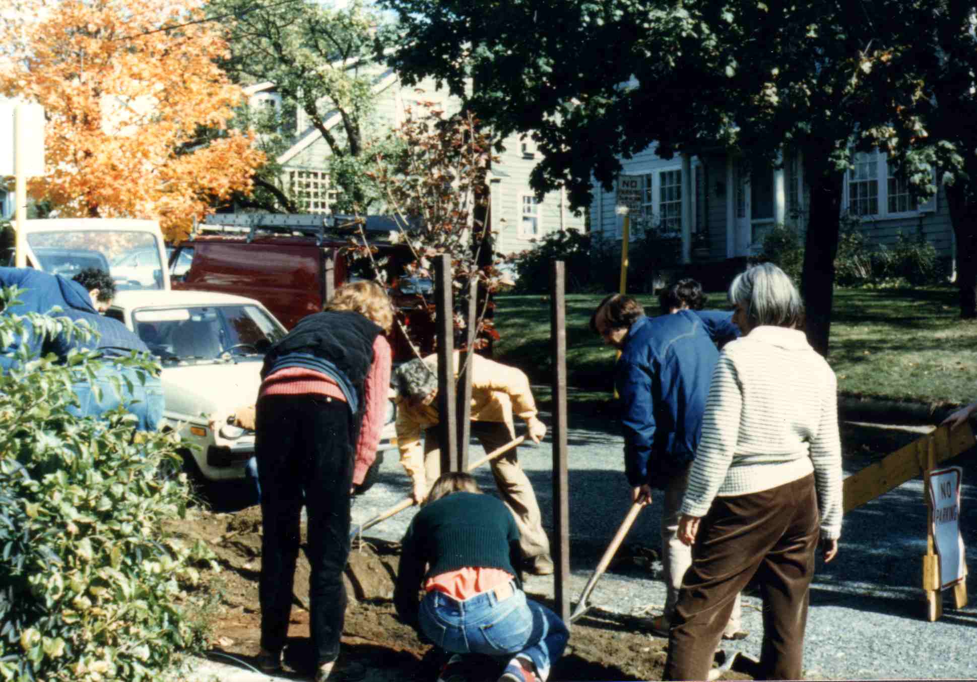 1986 TFW planting  Robbins Rd.